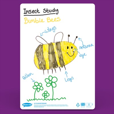 Show-me Plain/Plain Whiteboards, with Pens, Erasers & Cleaner, 8" x 12", 100/Set (EPTBSMBX)