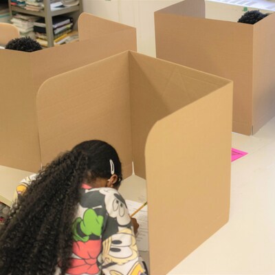 Classroom Products Foldable Cardboard Freestanding Privacy Shield, 20"H x 20"W, Kraft, 20/Box (2020 KR)