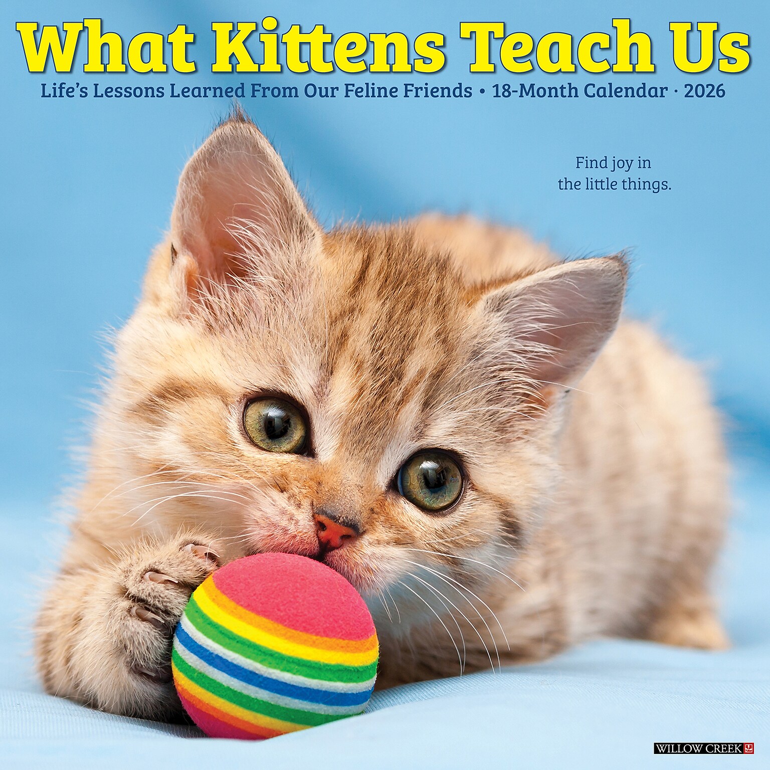 2026 Willow Creek What Kittens Teach Us 12 x 12 Monthly Wall Calendar (53201)