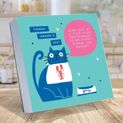 2027 TF Publishing Cats vs 5.25 x 5.25 Daily Day-to-Day Calendar, Multicolored (27-3016)