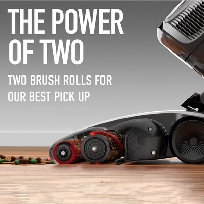 Hoover WindTunnel All-Terrain Dual Brush Roll Upright Vacuum, Bagless, Gray (UH77200V)
