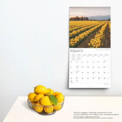 2025 BrownTrout American Farm 12" x 12" Monthly Wall Calendar (9781975474454)