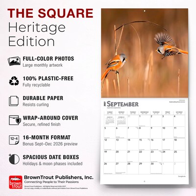 2027 BrownTrout Songbirds 12" x 12" Monthly Wall Calendar (9798330712113)