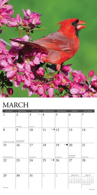 2026 Willow Creek Cardinals 12" x 12" Monthly Wall Calendar (50552)