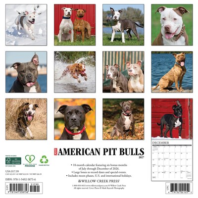 2027 Willow Creek American Pit Bull Terriers 12 x 12 Monthly Wall Calendar, Assorted Colors (58756)