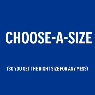 Perk™ Choose-A-Size Paper Towels, 2-ply, 116 Sheets/Roll, 8 Rolls/Pack (PK55113)