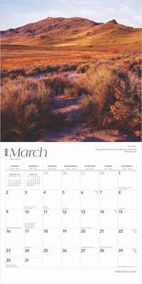 2025 BrownTrout Utah Wild & Scenic 12" x 12" Monthly Wall Calendar (9781975475826)