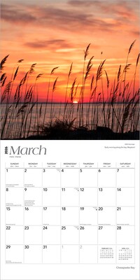 2026 BrownTrout Chesapeake Bay 12" x 12" Monthly Wall Calendar (9798330702831)