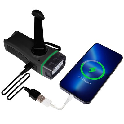 QFX Wireless Portable Rechargeable Emergency FM Radio with Built-in LED Flashlight, Black (R-10C)