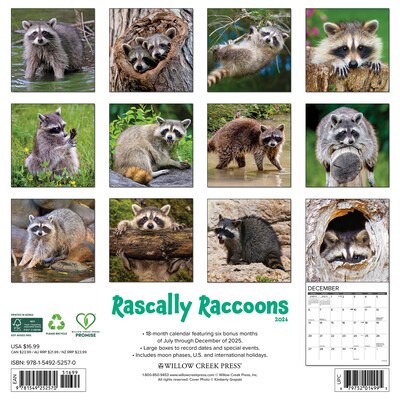 2026 Willow Creek Rascally Raccoons 12 x 12 Monthly Wall Calendar (52570)
