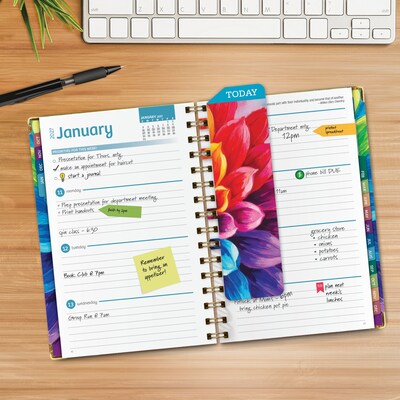 2027 Excello Brands 6 x 8 Weekly & Monthly Standard Planner, Paperboard Cover, Rainbow Petals (FSHN-CY27-58-41)
