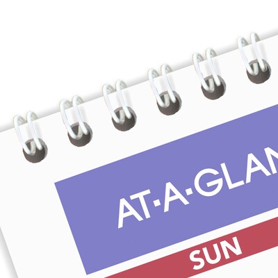 2025-2026 AT-A-GLANCE 15" x 12" Academic Monthly Wall Calendar, Purple/Red (AY8-28-26)