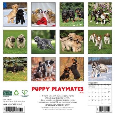 2026 Willow Creek Puppy Playmates 12 x 12 Monthly Wall Calendar (52525X)