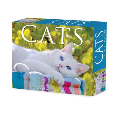 2026 Willow Creek Cats 6.2" x 5.4" Day-to-Day Calendar (54048)
