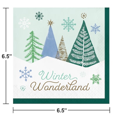 Creative Converting Winter Wonderland Christmas Paper Napkins, 48/Pack (DTC371875NAP)