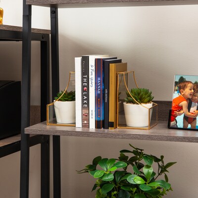 Mind Reader Metal Terrarium Bookends, 6.25", Gold (GLBOOK2-GLD)