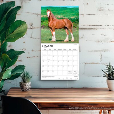 2026 BrownTrout Clydesdales 12" x 12" Monthly Wall Calendar (9798330702954)
