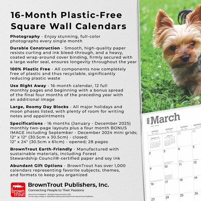 2025 BrownTrout Yorkshire Terriers 12" x 12" Monthly Wall Calendar (9781975478001)