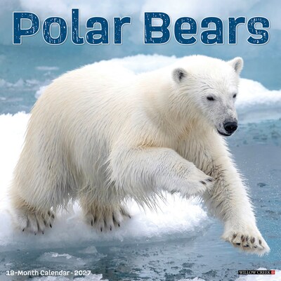2027 Willow Creek Polar Bears 12 x 12 Monthly Wall Calendar, Assorted Colors (61831)