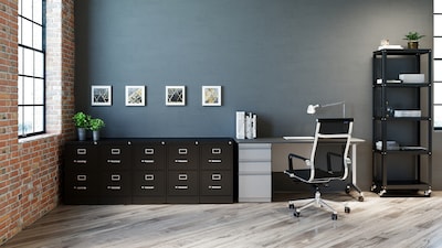 Hirsh Commercial 2-Drawer Vertical File Cabinet, Letter Size, Lockable, 28.375"H x 15"W x 26.5"D, Black (14101)