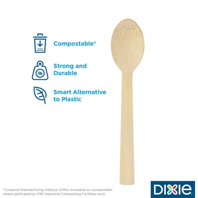 Dixie Compostable Bamboo Spoon, Brown, 1000/Box (ANSBAM)