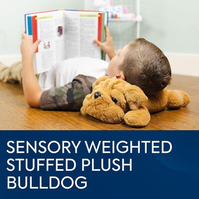 Bouncyband Happy Hugs Sensory Weighted Plush Bulldog (BBALPBD)