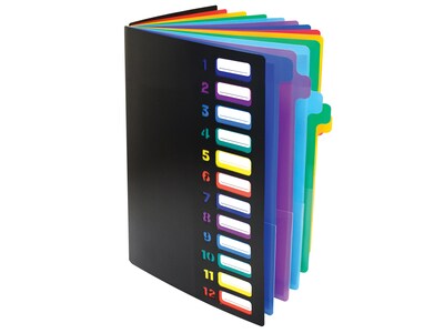 Better Office 24-Pocket Expanding File Folder, Black (59601)