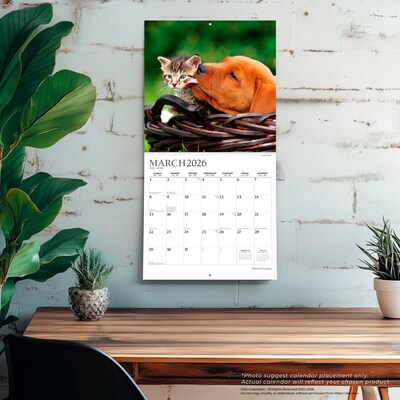 2026 Plato Kittens & Puppies 12" x 12" Monthly Wall Calendar (9798330706815)