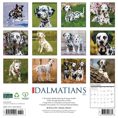 2026 Willow Creek Dalmatians 12 x 12 Monthly Wall Calendar (50958)