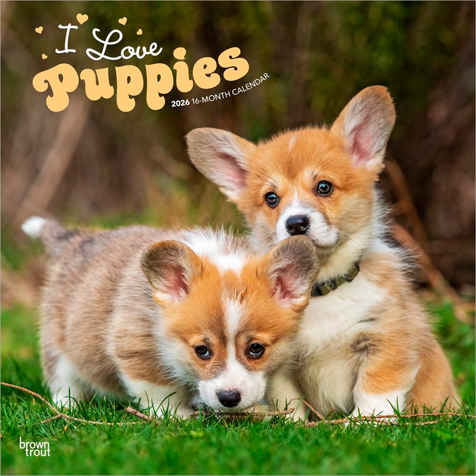 2026 BrownTrout I Love Puppies 12 x 12 Monthly Wall Calendar (9798330705283)