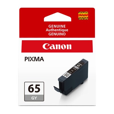 Canon 65 GY Gray Standard Yield Ink Cartridge (4219C002)