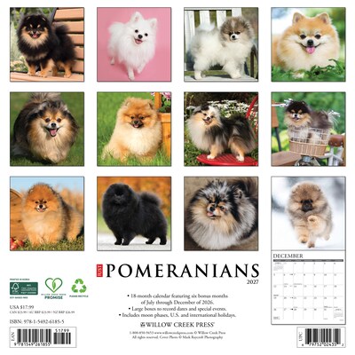 2027 Willow Creek Multi 12 x 12 Monthly Wall Calendar, Assorted Colors (61855)