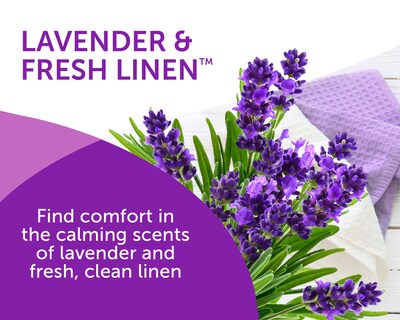 Bright Air Super Odor Eliminator Solid Air Fresheners, Lavender/Fresh Linen (900014)