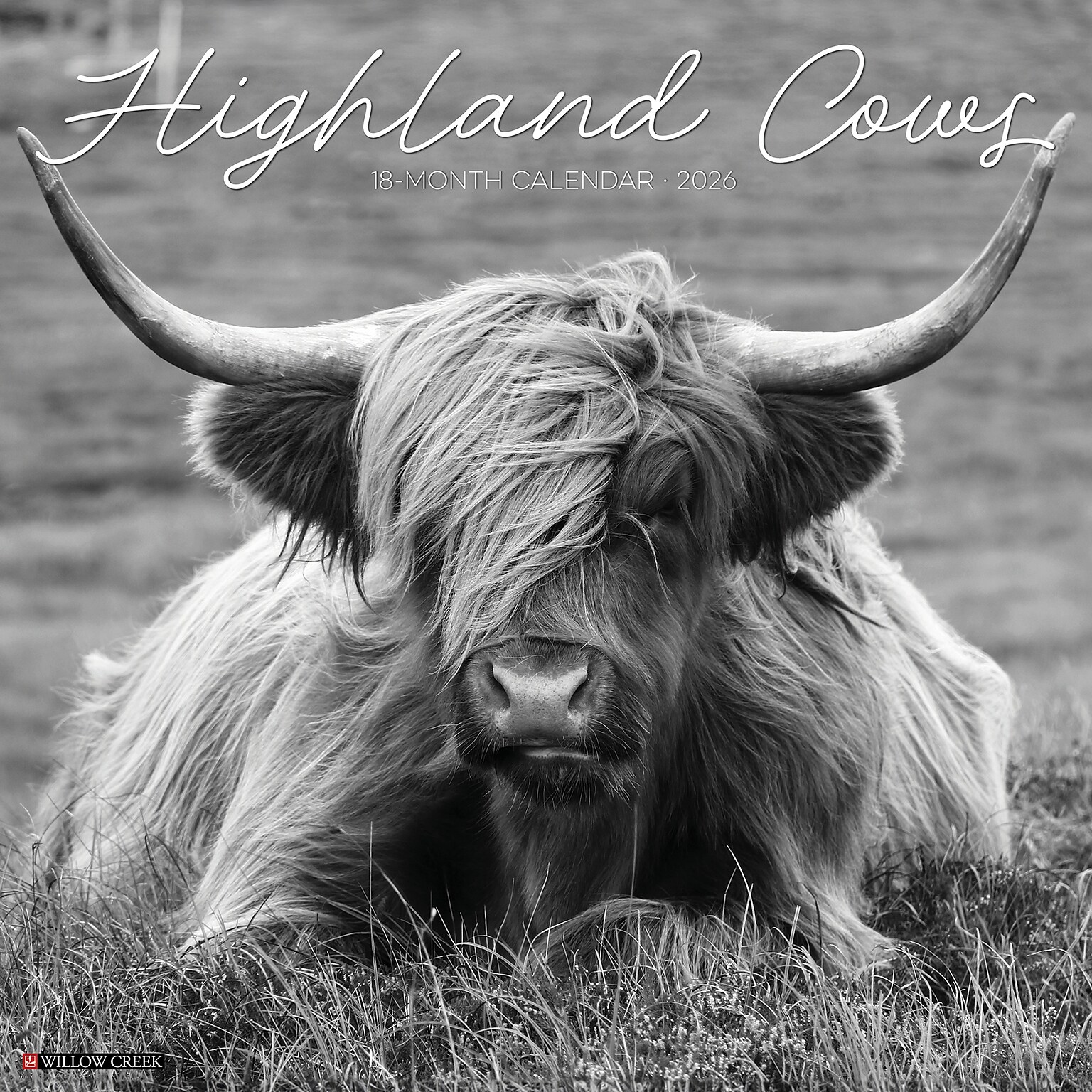 2026 Willow Creek Highland Cows 12 x 12 Monthly Wall Calendar (55847)