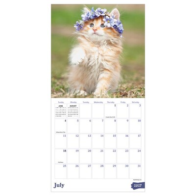 2027 TF Publishing Kittens 7" x 7" Monthly Wall Calendar, Multicolored (27-2002)