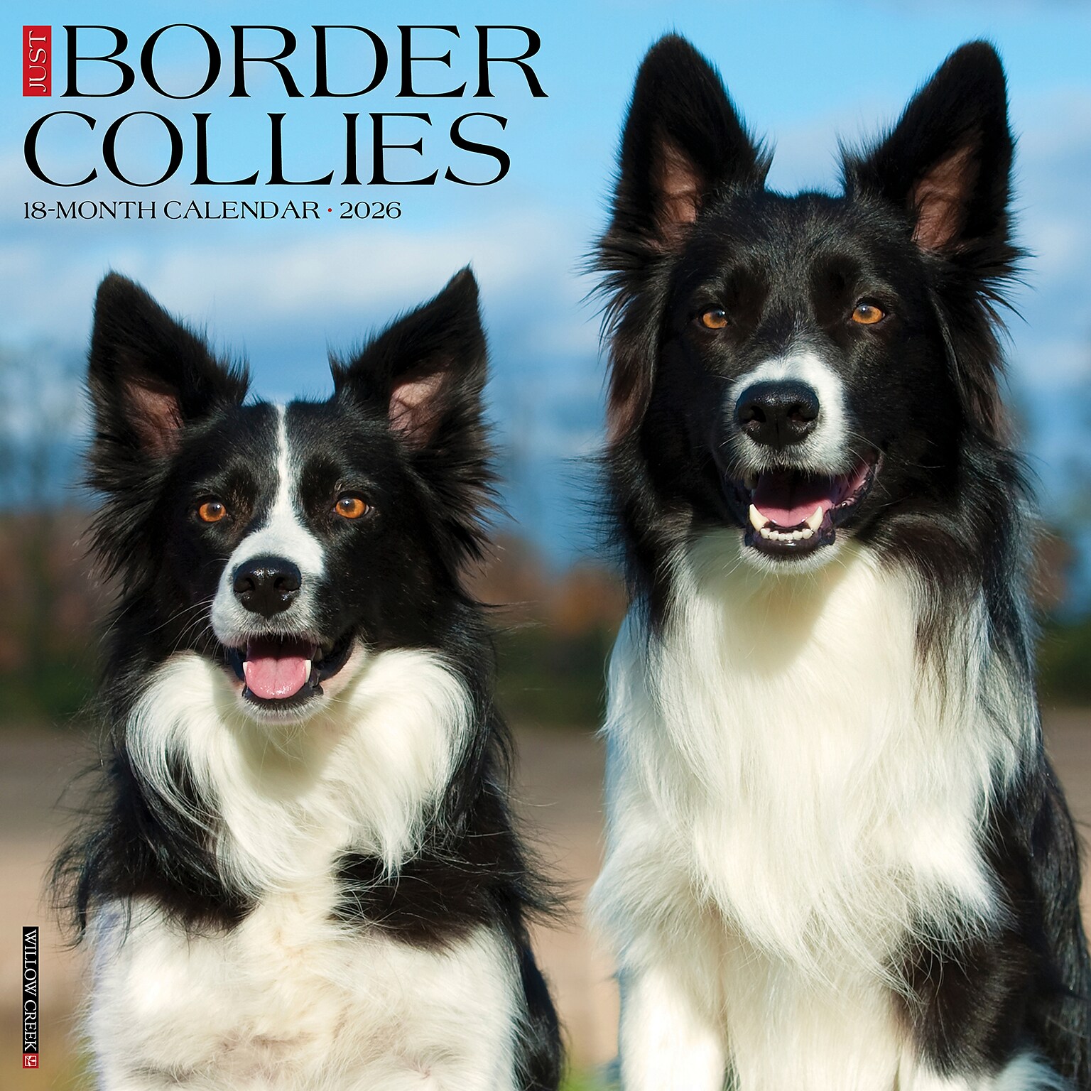 2026 Willow Creek Border Collies 12 x 12 Monthly Wall Calendar (50323)