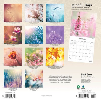 2023 Brush Dance Mindful Days 12 x 12 Monthly Wall Calendar (9781975454647)