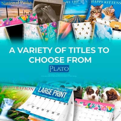 2025-2026 Plato Bonnie Marcus 12" x 12" Academic Monthly Wall Calendar (9798330700141)