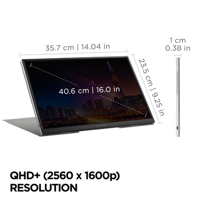 ViewSonic 16" 60Hz LED Monitor, Black (VG1656-2K)