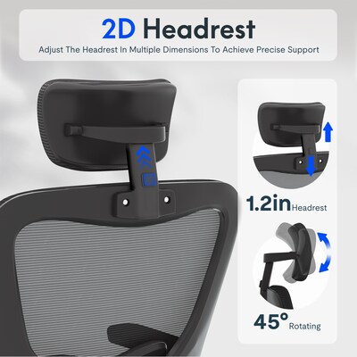 FlexiSpot Pro Comfort Swivel Computer and Desk Chair, Black (OC1BK-SD-DP)