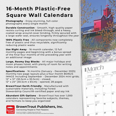 2025 BrownTrout Lake Michigan 12" x 12" Monthly Square Wall Calendar (9781975475048)