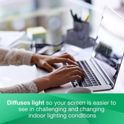 3M Anti-Glare Privacy Filter for 15.6" Widescreen Monitor, 16:9 Aspect Ratio (AG156W9B)