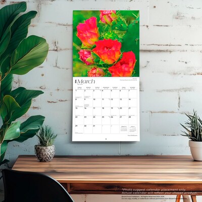2026 BrownTrout Texas Wildflowers 12" x 12" Monthly Wall Calendar (9798330705832)