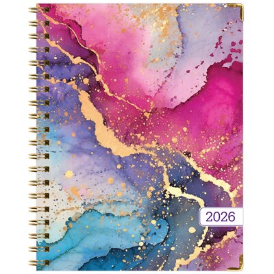 2026 Global Printed Products 8.5" x 11" Weekly & Monthly Planner, Paperboard Cover, Rainbow Gold Marble (FSHN-CY26-8511-36)