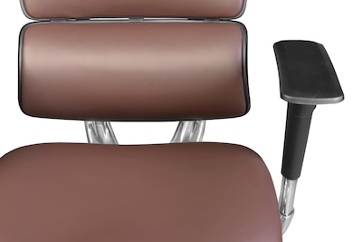 Regency Omega Ergonomic Leather Executive Office Chair w/ Headrest, Chocolate (OMG004CH)