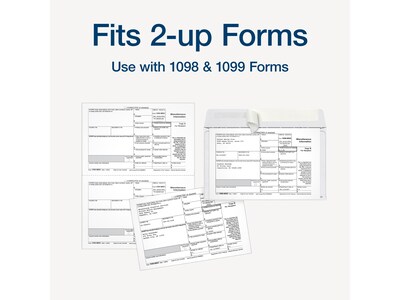Adams 2024 Self-Seal Security-Tinted Double-Window 1099 Tax Envelope, 9" x 5-5/8", White, 25/Pack (STAX1-24)