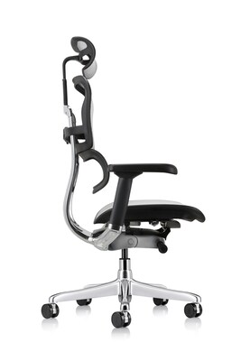 Eurotech Ergohuman Gen2 High Back Mesh Office Chair w/ Headrest, Gray (ME7ERG-GEN2-GRY)