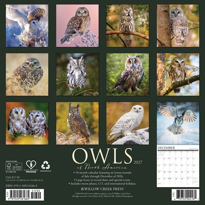 2027 Willow Creek Owls 12 x 12 Monthly Wall Calendar (61664)