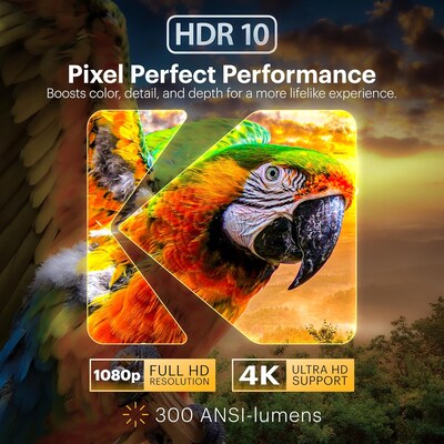 Kodak Flik HDMI/USB Portable LCD Home Theater Projector Kit, White (RODPJSX20WK)