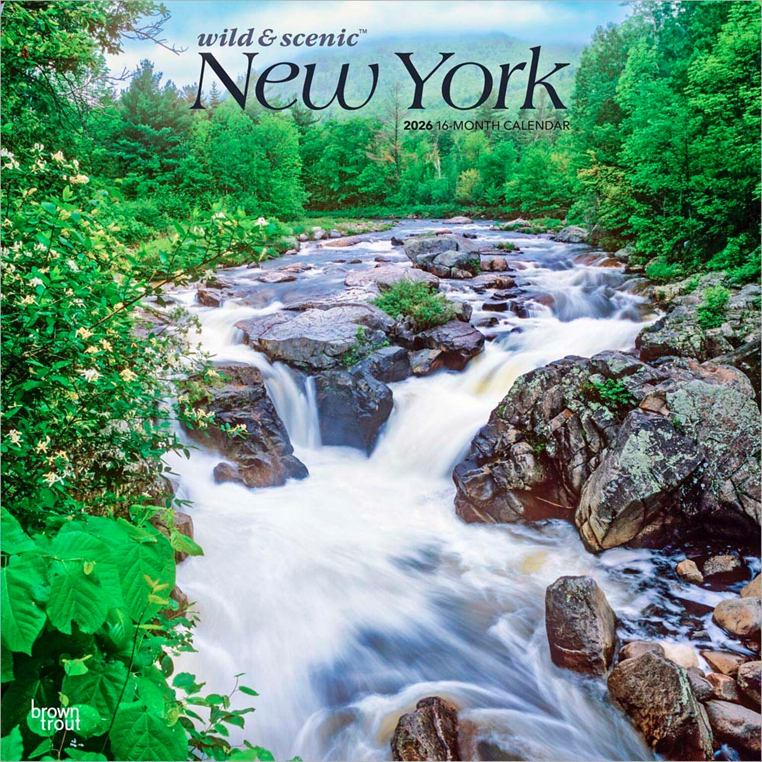2026 BrownTrout New York Wild & Scenic 12 x 12 Monthly Wall Calendar (9798330704897)